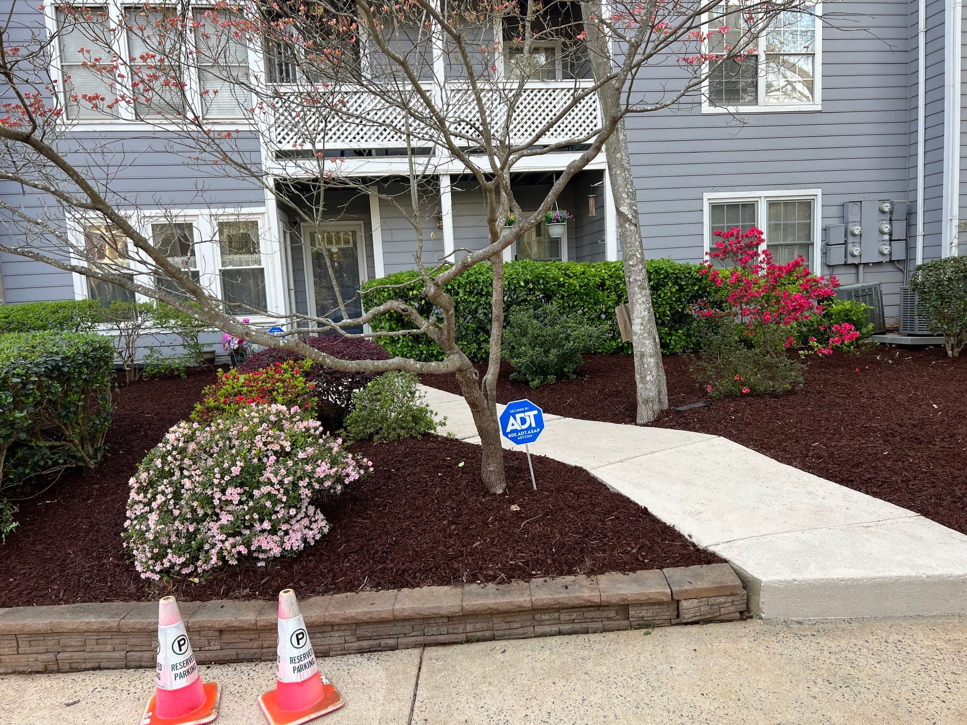 Mulch beds with shrubs