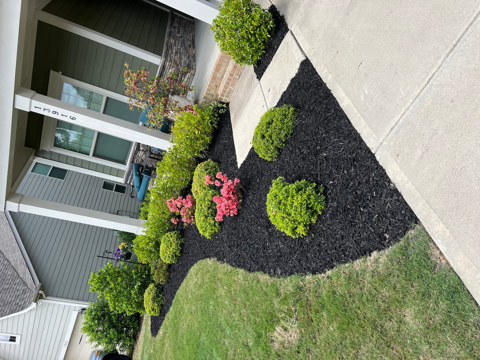 Landscaped mulch and bushes